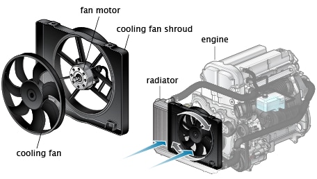 Radiator Fan Issue